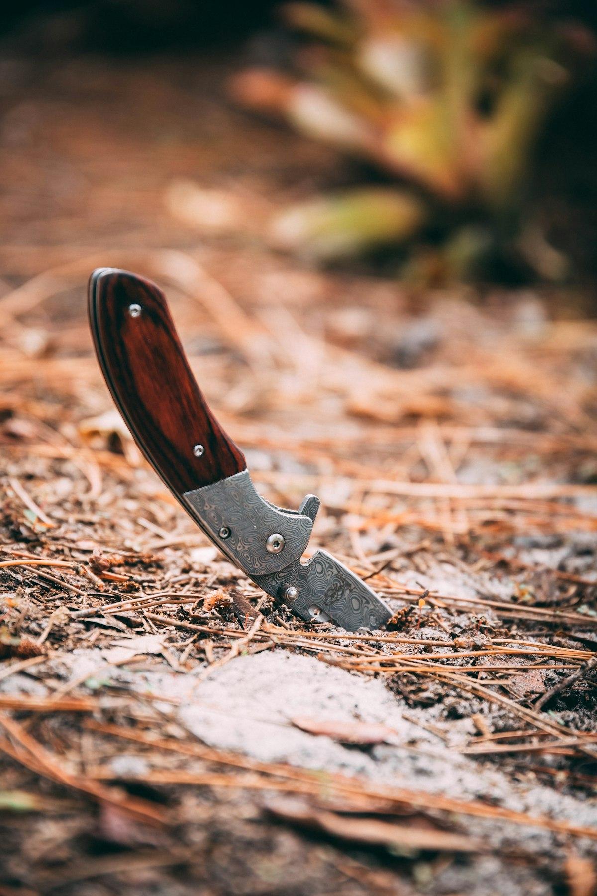 Coltello da Mascalcia
