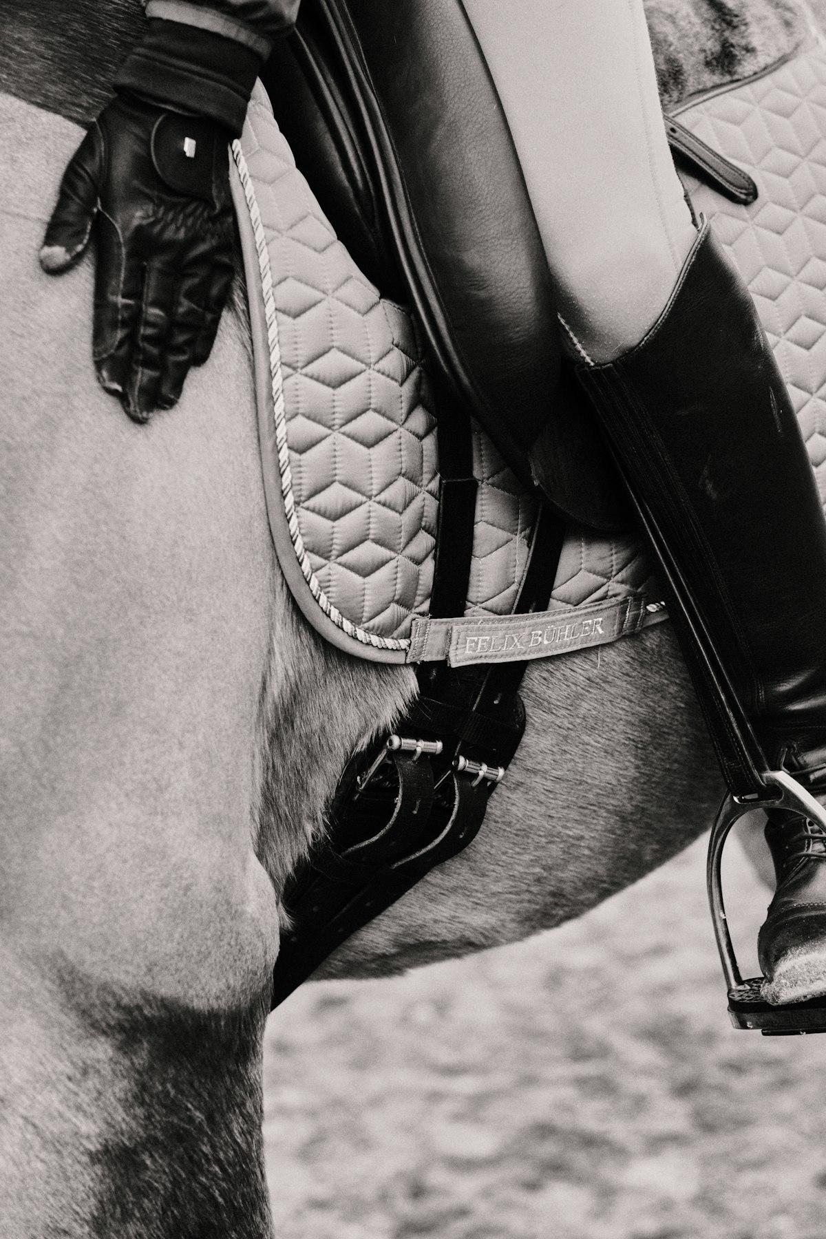 Sella da Dressage Professional